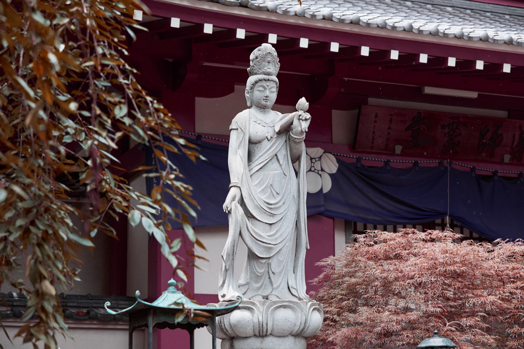 境内を巡る｜新井薬師梅照院